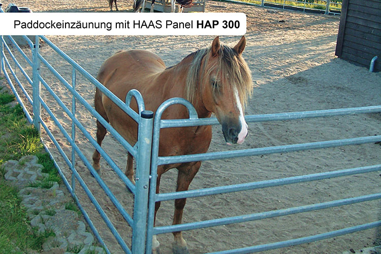 HAAS Pony-Panel 300 cm