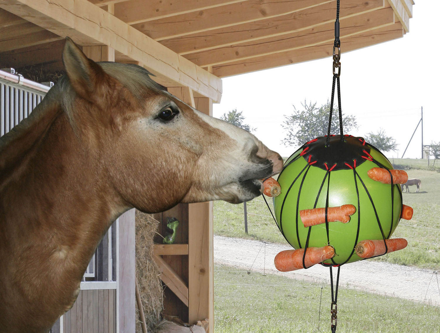 Therapiespielball für Pferde