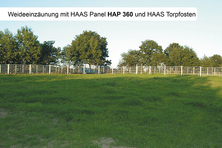 HAAS Panel 300 cm - 60 Stück